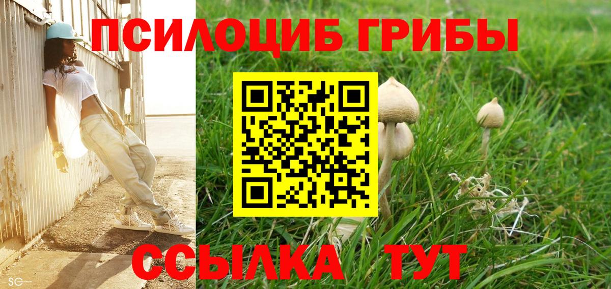 Псилоцибиновые грибы Psilocybine cubensis  Вход с VPN  Шелехов 