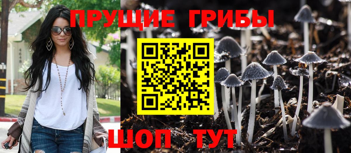 Псилоцибиновые грибы ЛСД Шелехов
